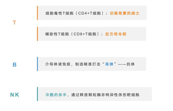 2021世界強(qiáng)化免疫日 | 紐盾帶你認(rèn)識免疫系統(tǒng)的構(gòu)成