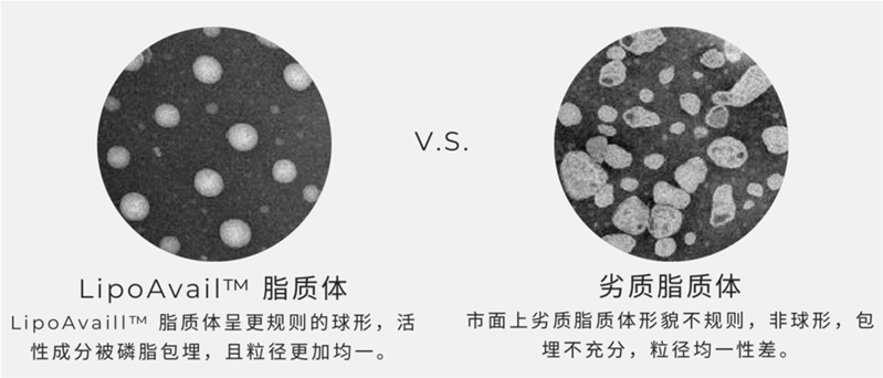 攝入量≠吸收量，如何讓營養(yǎng)素生物利用度實(shí)現(xiàn)10倍、100倍提升