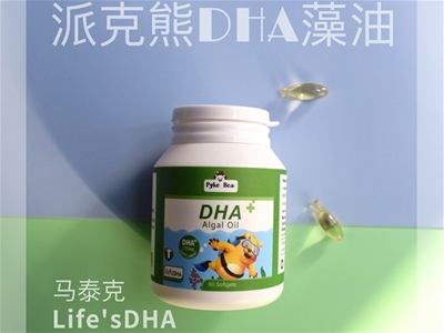 進口DHA全國招商，派克熊精選馬泰克Life’sDHA，品質有保障